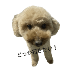 natsumi_20230422234408