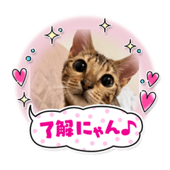 Mary_20230422235237
