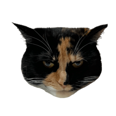 NekoHaSekaiheiwaNiTunagarimasu