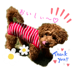 YUKA_20230423015815