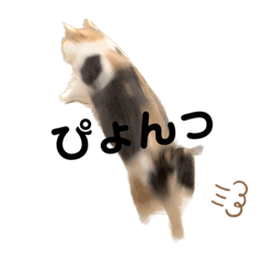 Yun_20230423132250