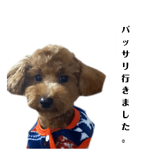 ryuki_20230423142313