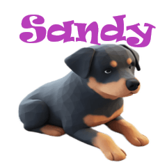 Rottweiler Sandy