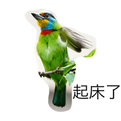 鳥-1