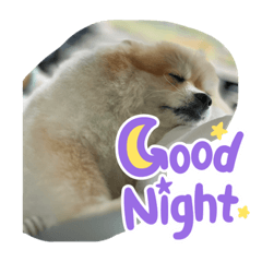 Phiraon_20230423165202