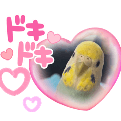 Kanae_20230423195850