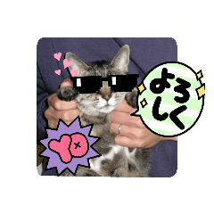 koto_20230423200316