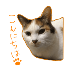 Wara Cat Stamps