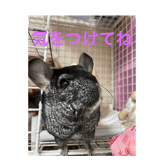 NATSUMI_20230423211950