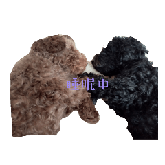 hiyori_20230424122710