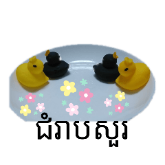 Cambodian Daily Conversation Bird Khmer