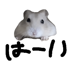 pepero_20230423224534