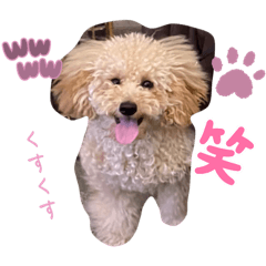 aoi_20230423225256