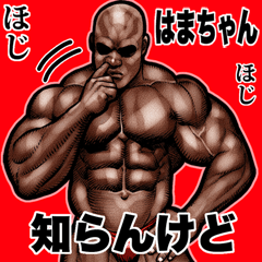 Hamatchan dedicated Muscle macho Big 2