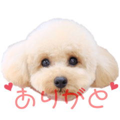 dan_20230424072211