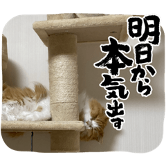 yayoi_20230424015019