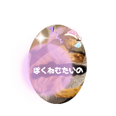 koto_20230424064627