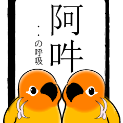 Cute  orange bird's big message