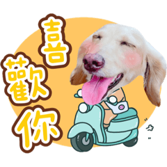 豆粉寶貝の摩托車隊