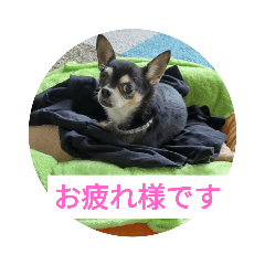 Smile_20230424165041