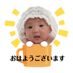 あおと&かんめたふみ