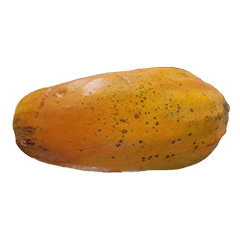 Food Series : Some Papaya #2