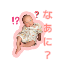 Ayanmame_20230424205020