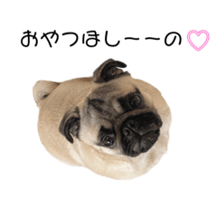 sakura_20230425002013