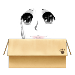 nakaiguminosutanpu