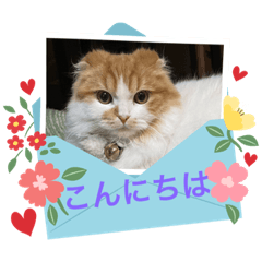 ton_20230424211006