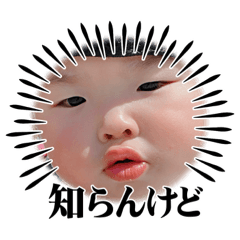 aoi_20230424222500