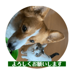 yun_20230425122801