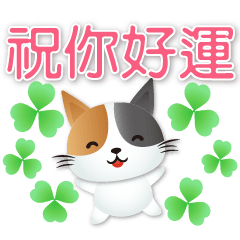 Cute Calico Cat-Year-round Practical