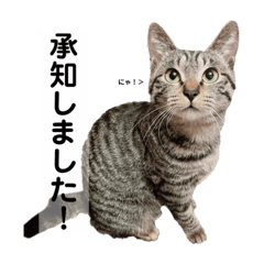 Korinboy_20230424222906