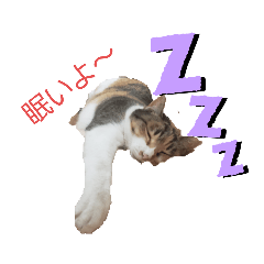 おたぷandチップ