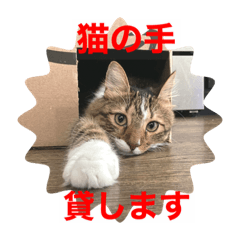 Paw-some Cat Stickers in Japanese