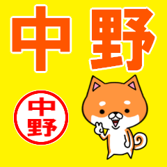 ★中野(なかの・ナカノ)な柴犬のシバッキー