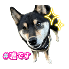 Kana_20230425153518