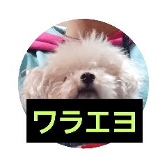 sebe_20230425141956