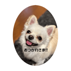 Mizuki_20230425172819