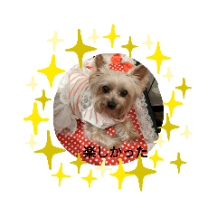 NAGAYO_20230426090348