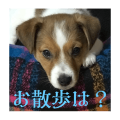 Jackie_20230425165639