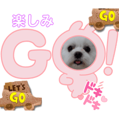 SMILE_20230425180853