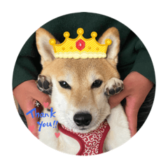 saori_20230426065735