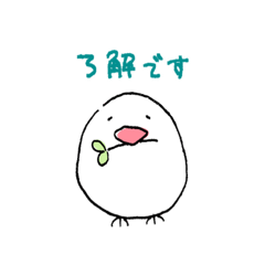 Java sparrow Pippi