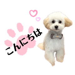 smile_20230425174355