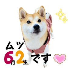 ontan_20230425182649