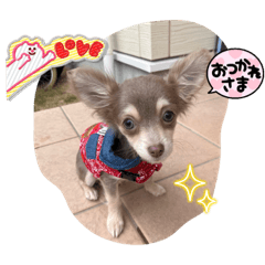 SAKURA_20230425194839