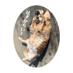 natsumi_20230425203750