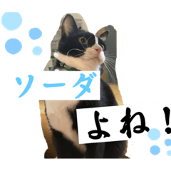 Aoi_20230425210712